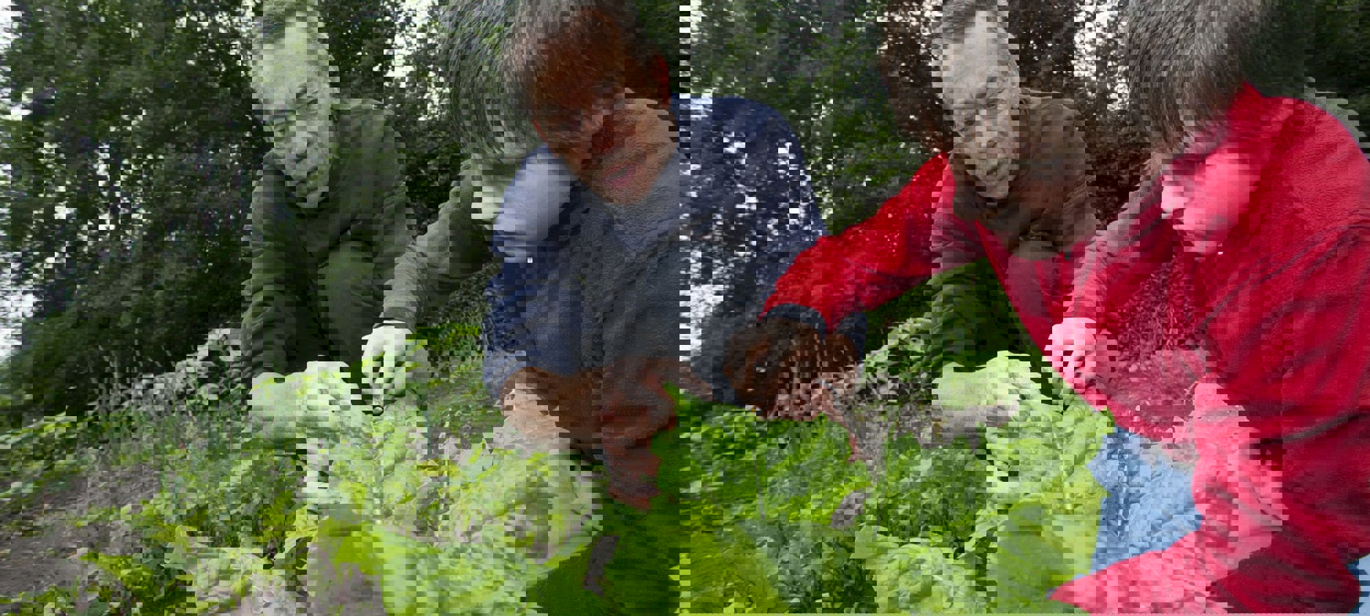 123941398 3461348360577583 8370565770783688297 N