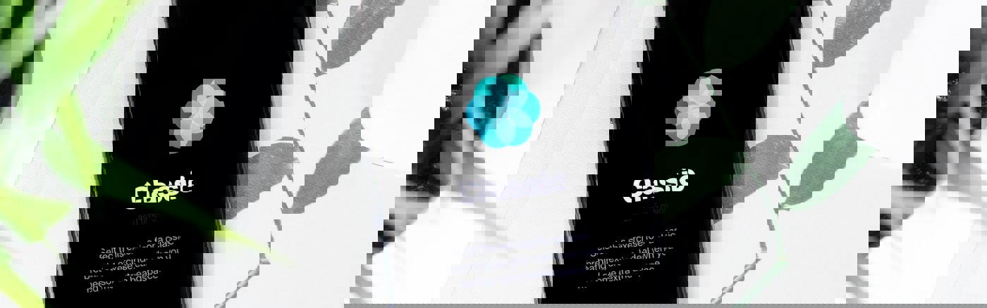 Visual Design voor app in ontwikkeling