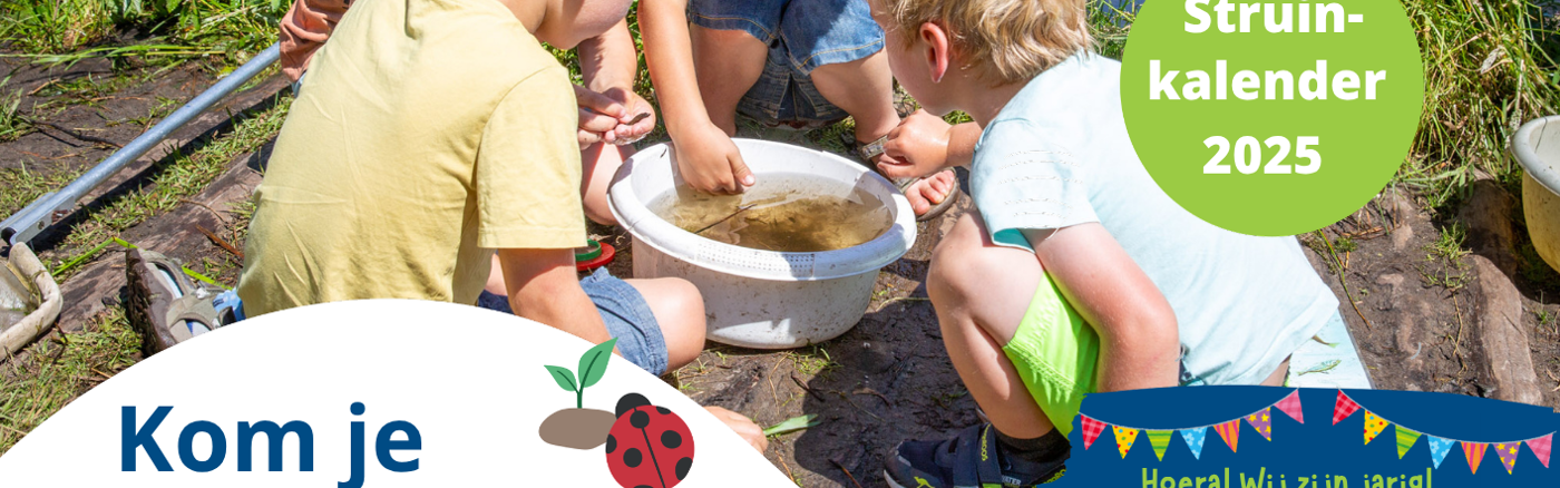 Canva Sjablonen voor flyers