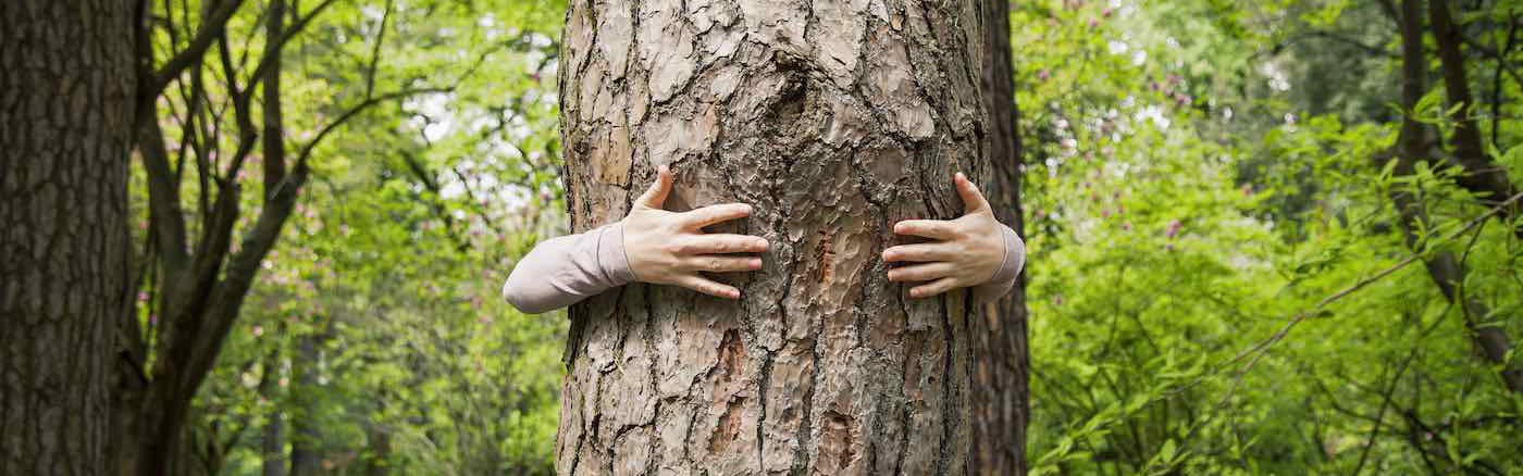 Tijdelijke Vrijwilliger: Financieel Beheerder