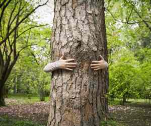 Stichting Boes Bos (2)