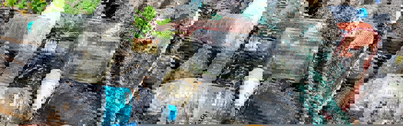 Fotoshoot van zwerfafval