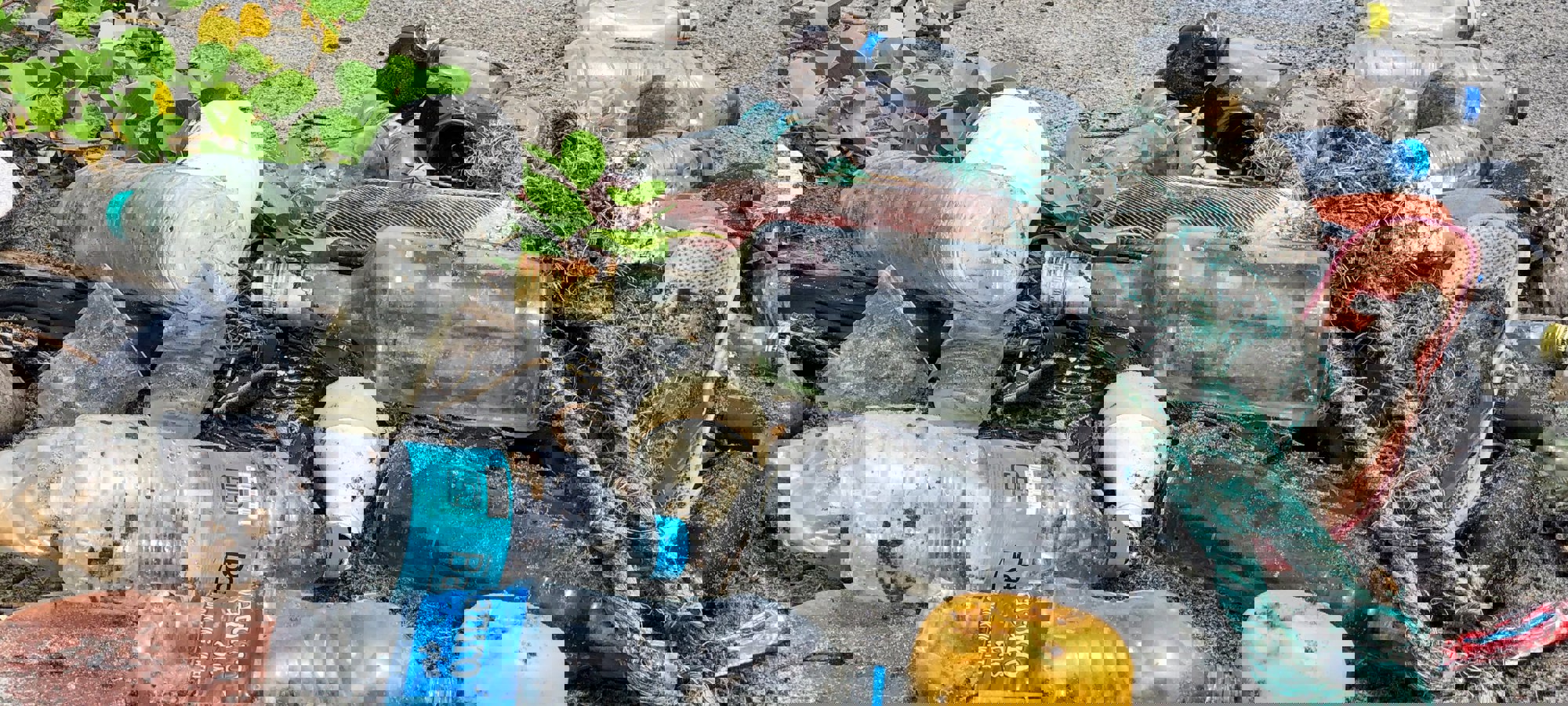 9ebe06ab-8688-46fa-b0c3-4ff1f411d2cd