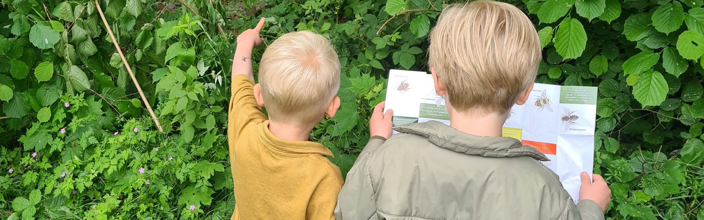 B2B-adviesplan voor de Bijenstichting