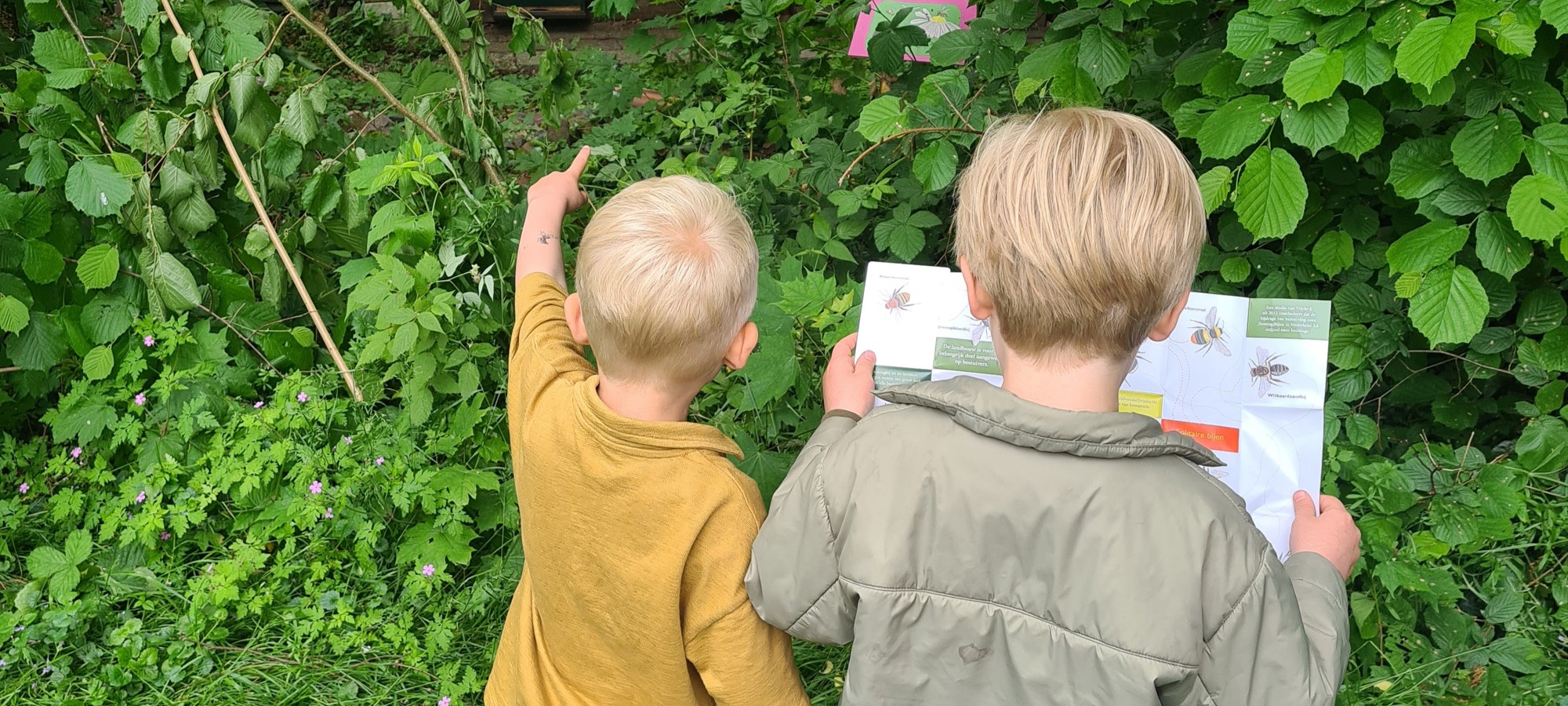 kinderenopbijles1.jpg