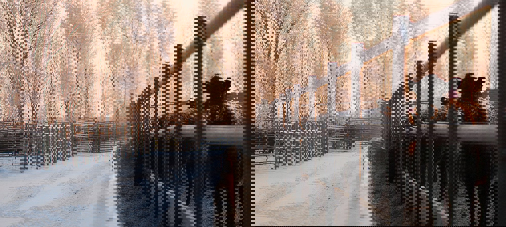 02d96c56-3bcb-4f20-b49b-a07864b14d1a