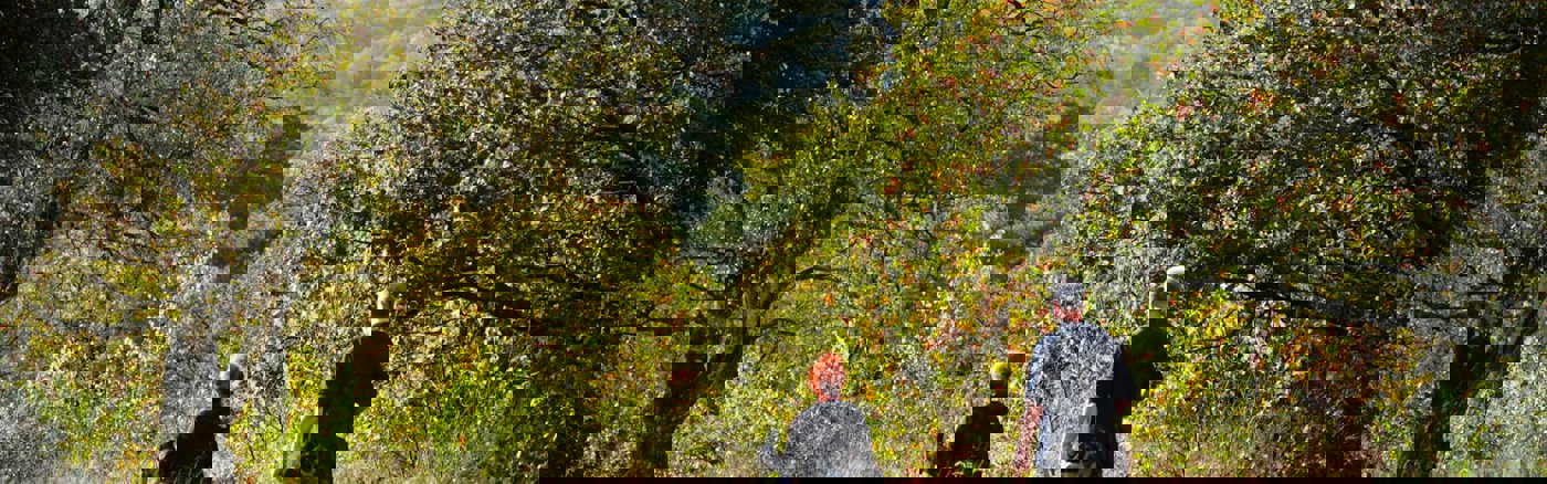 Poster of flyer design