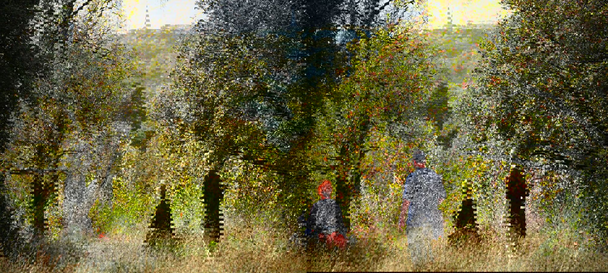 01e4ab80-1387-426a-b186-2e6f15925a29