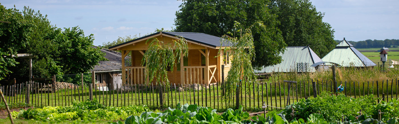 Website navigatie verbeteren