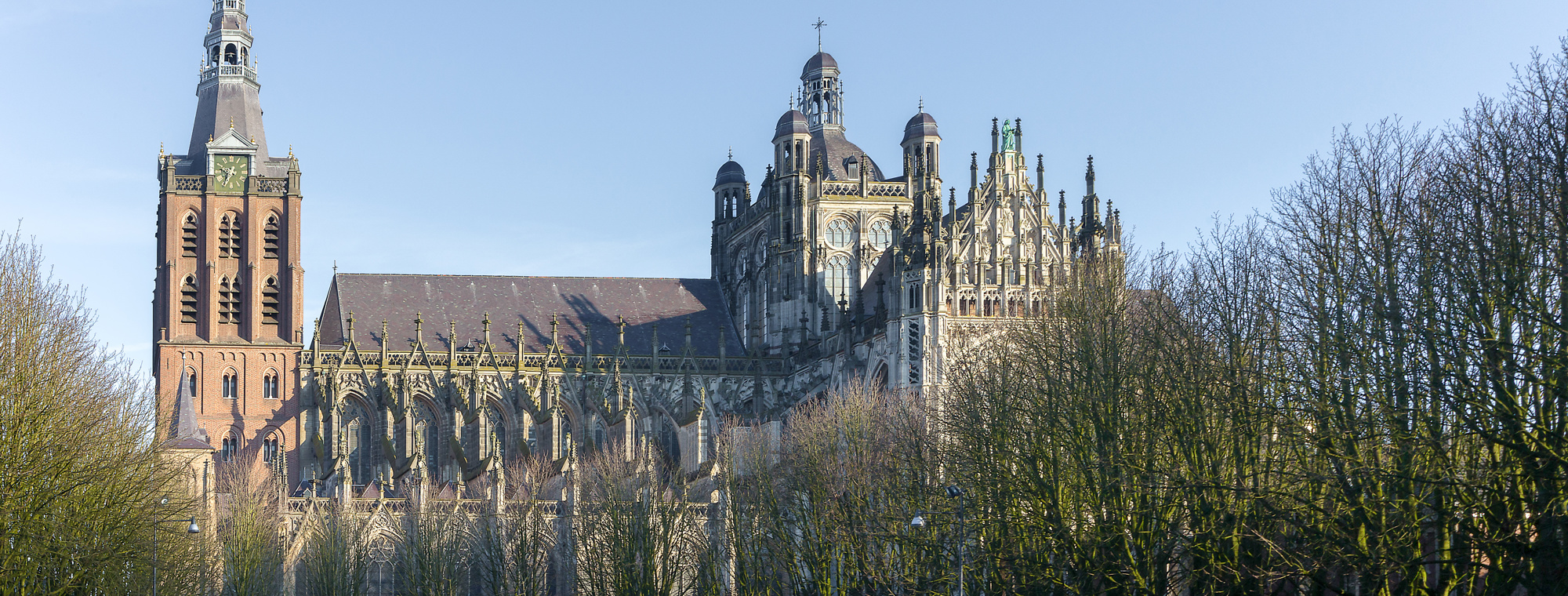 Adobestock 187472142