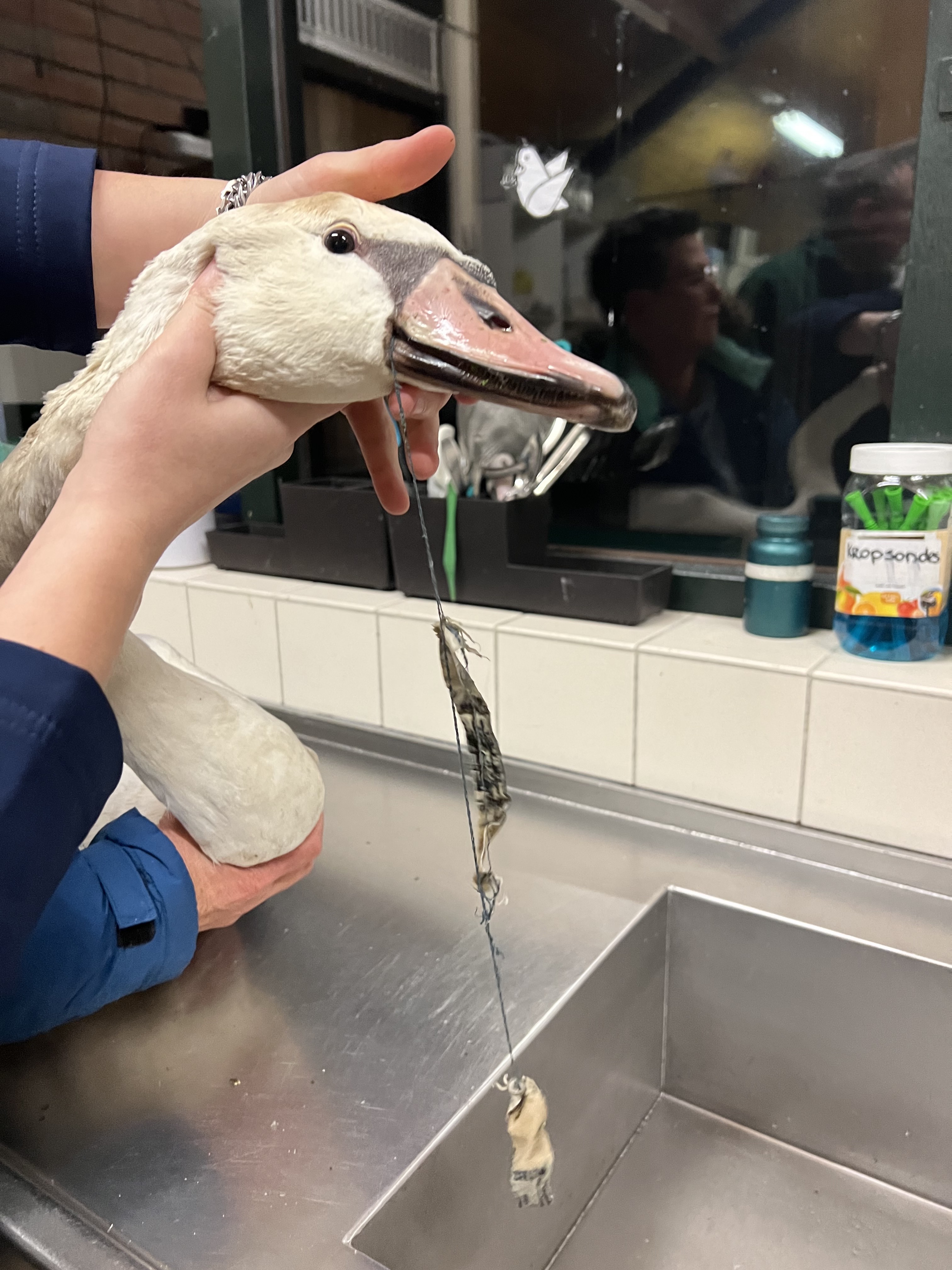 Flexibele Design ondersteuning