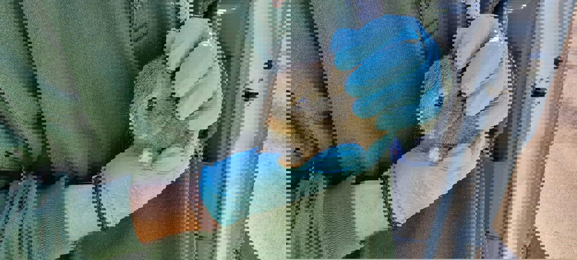 3592ac72-452d-458e-a25c-f7a85a5ce10a