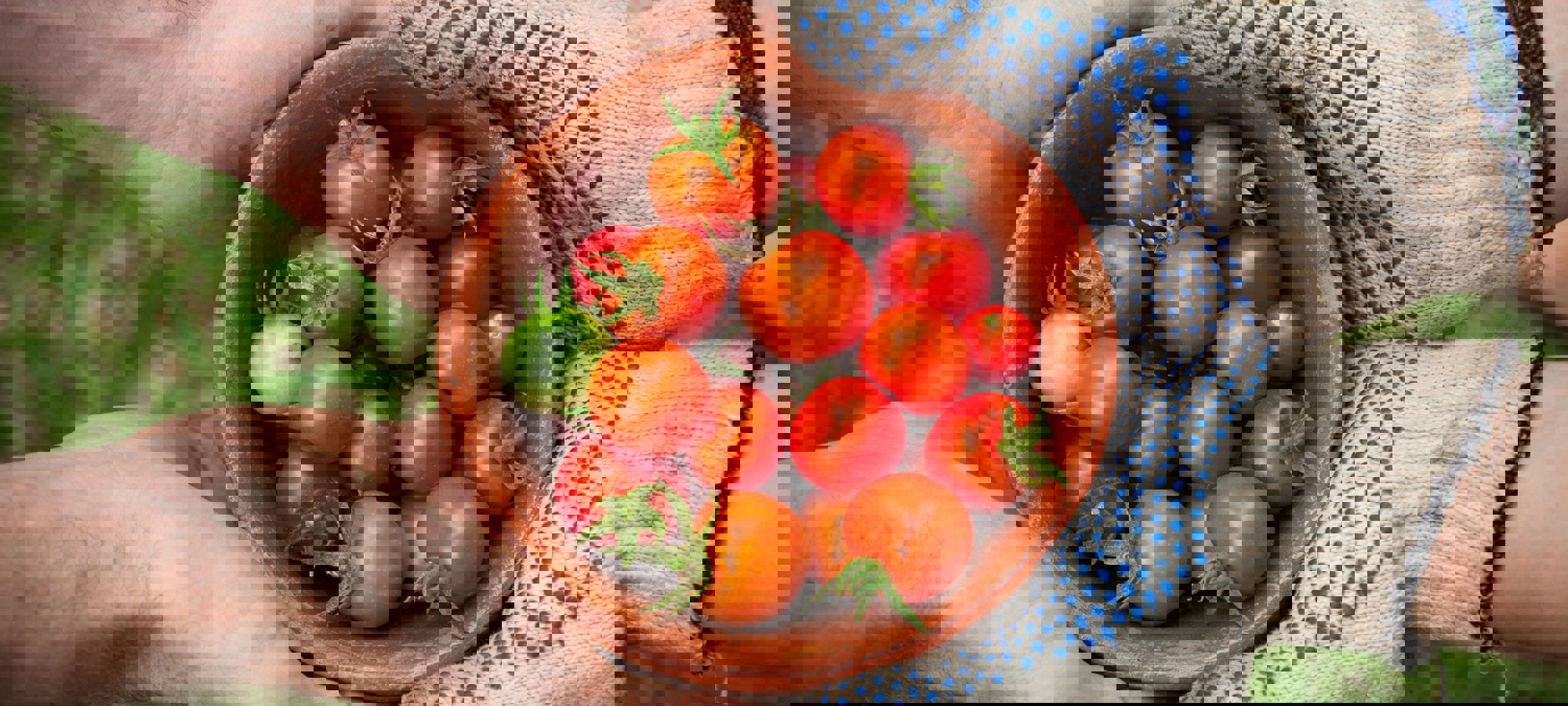 35eb2210-97d8-4351-a71b-55fc65708f1d