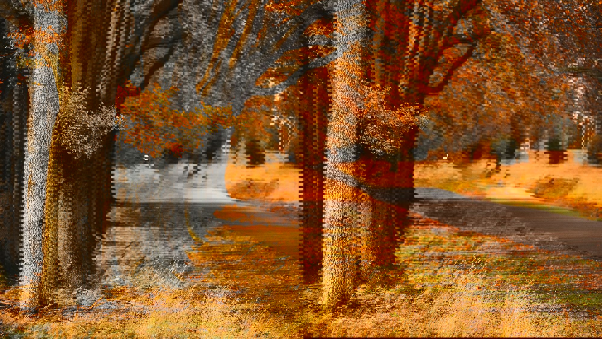 Rechten van de Natuur