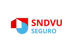 Ontwerp Jaarverslag SNDVU Seguro