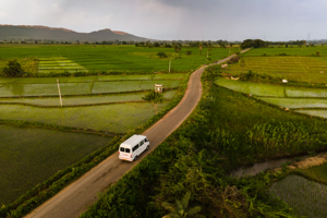 Adviesplan opstellen voor donateurscampagne