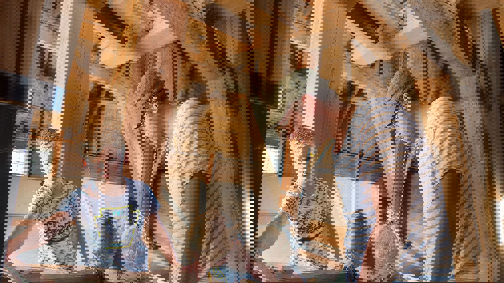 De Hollandsche Molen