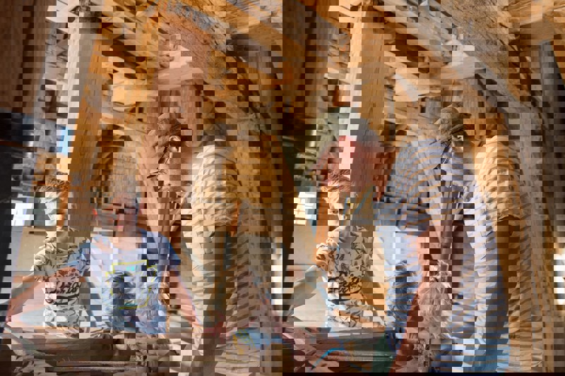 De Hollandsche Molen