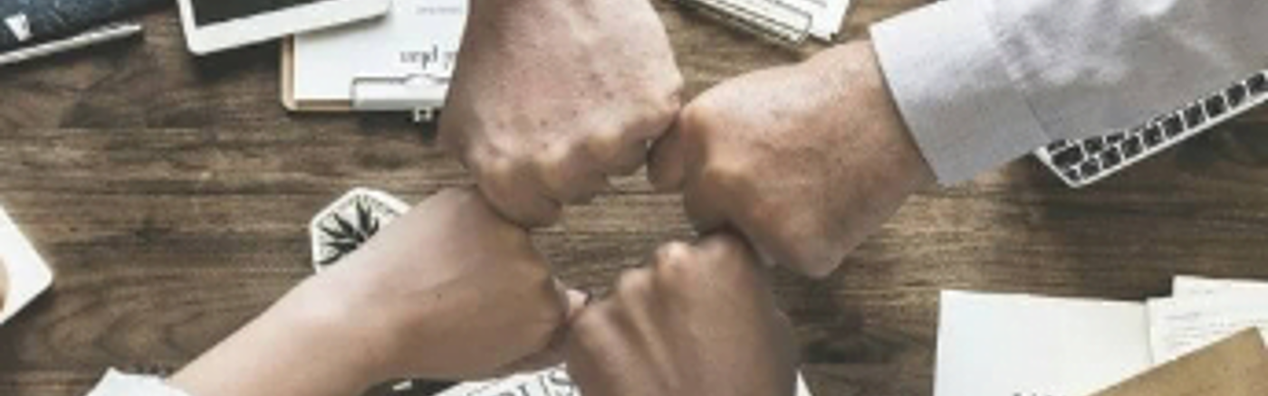 Interim vrijwilliger: Business developer 