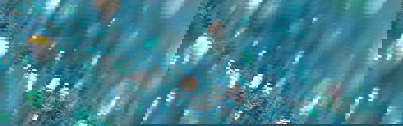 Inzichten uit CRM database 