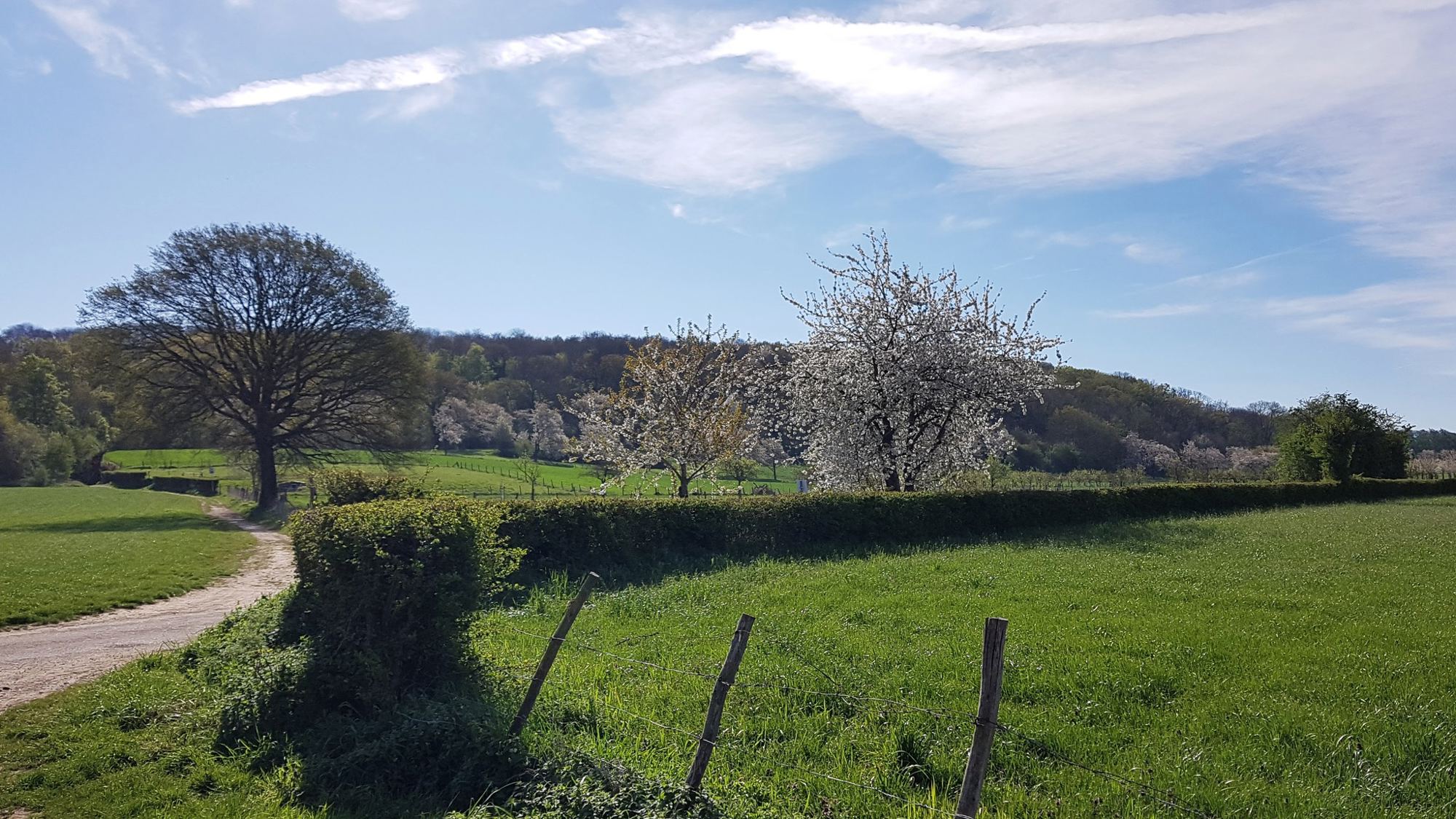 Natuur & Milieufederatie Limburg
