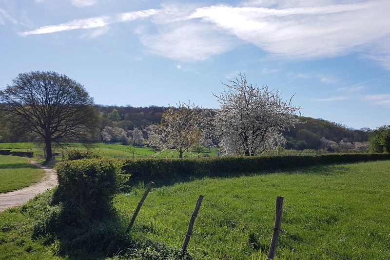 Natuur & Milieufederatie Limburg