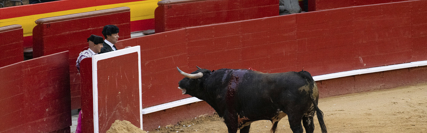 Google Analytics uitleg, set-up en training