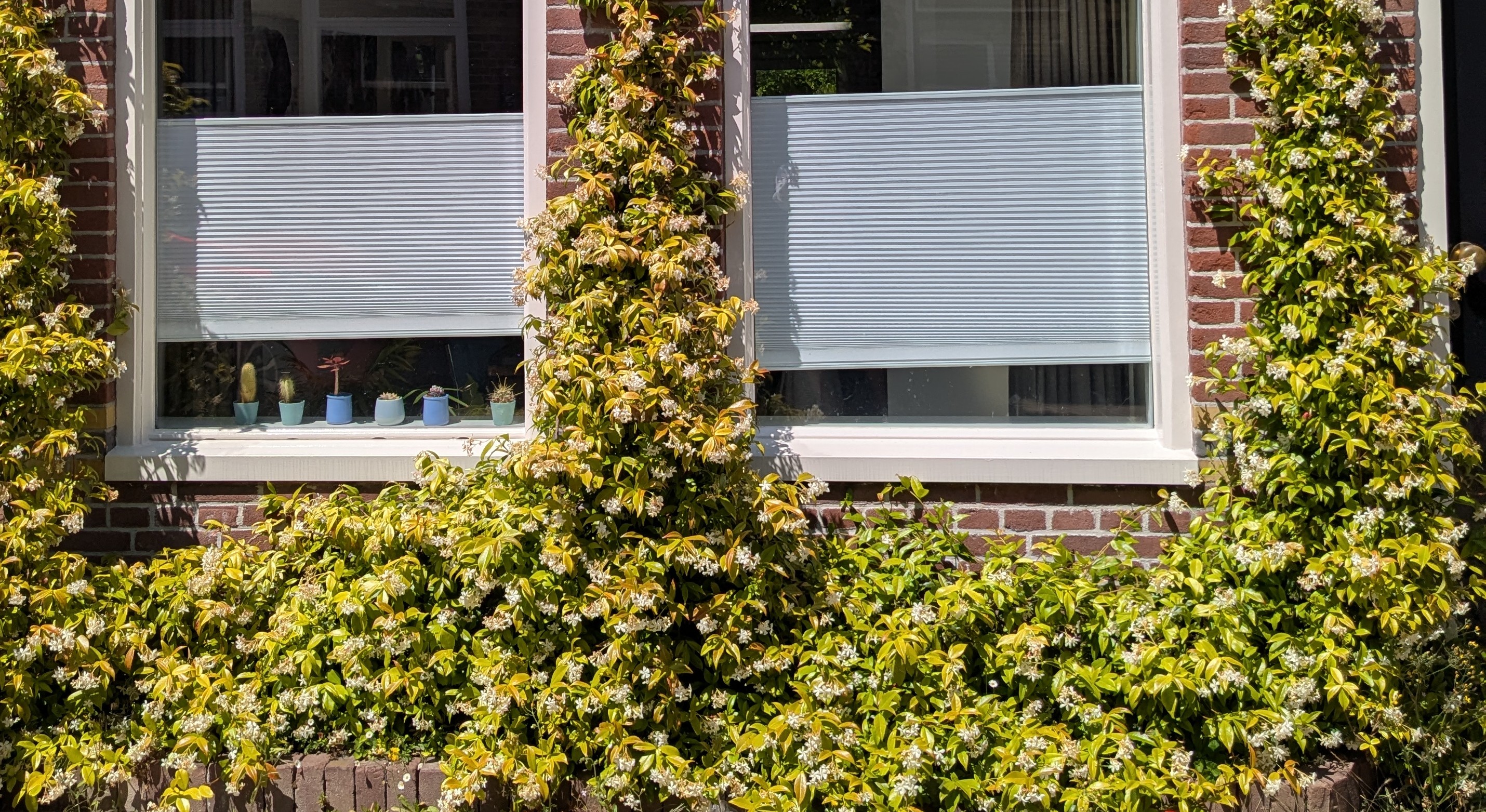 Gegevensverzameling en CRM Integratie