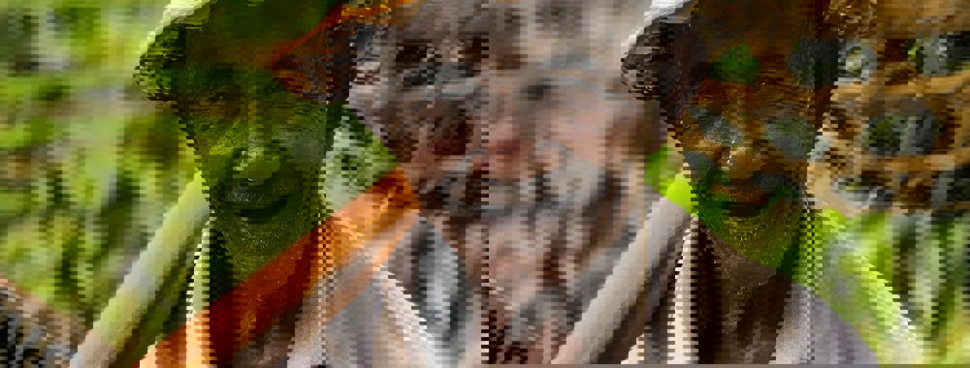 Who S Denilo Xj7hv0fvsg0 Unsplash