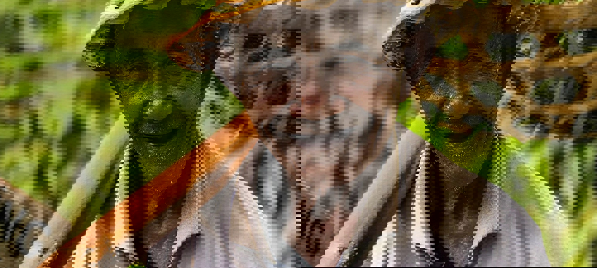 Who S Denilo Xj7hv0fvsg0 Unsplash