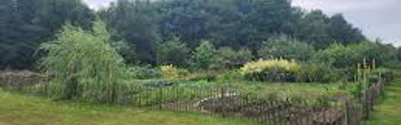 Natuurfotografie: Beeldbank opbouwen