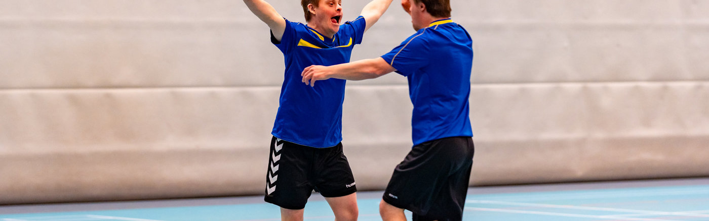 Impactmeting advies Special Olympics NL