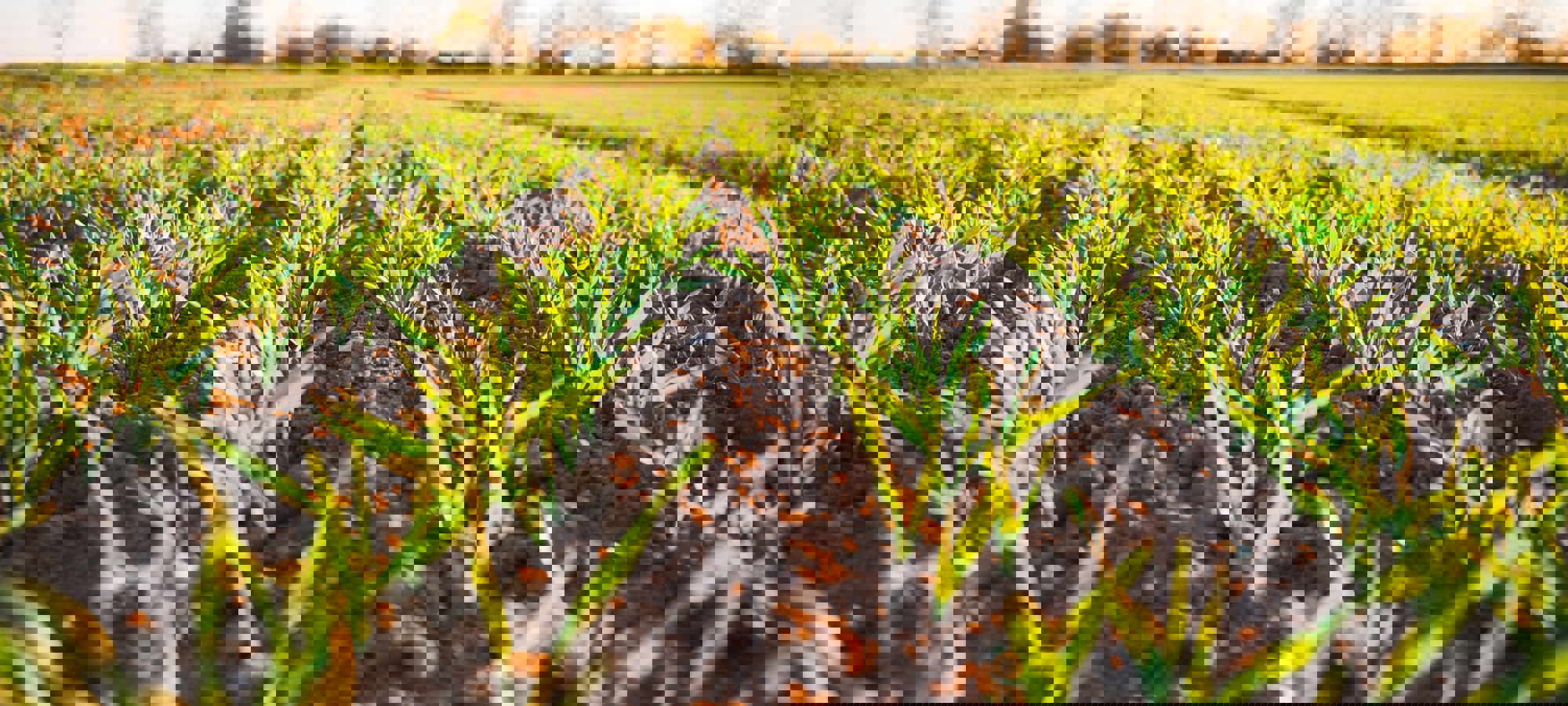 bbb07230-d9fb-48ea-ac63-ce2939c29830