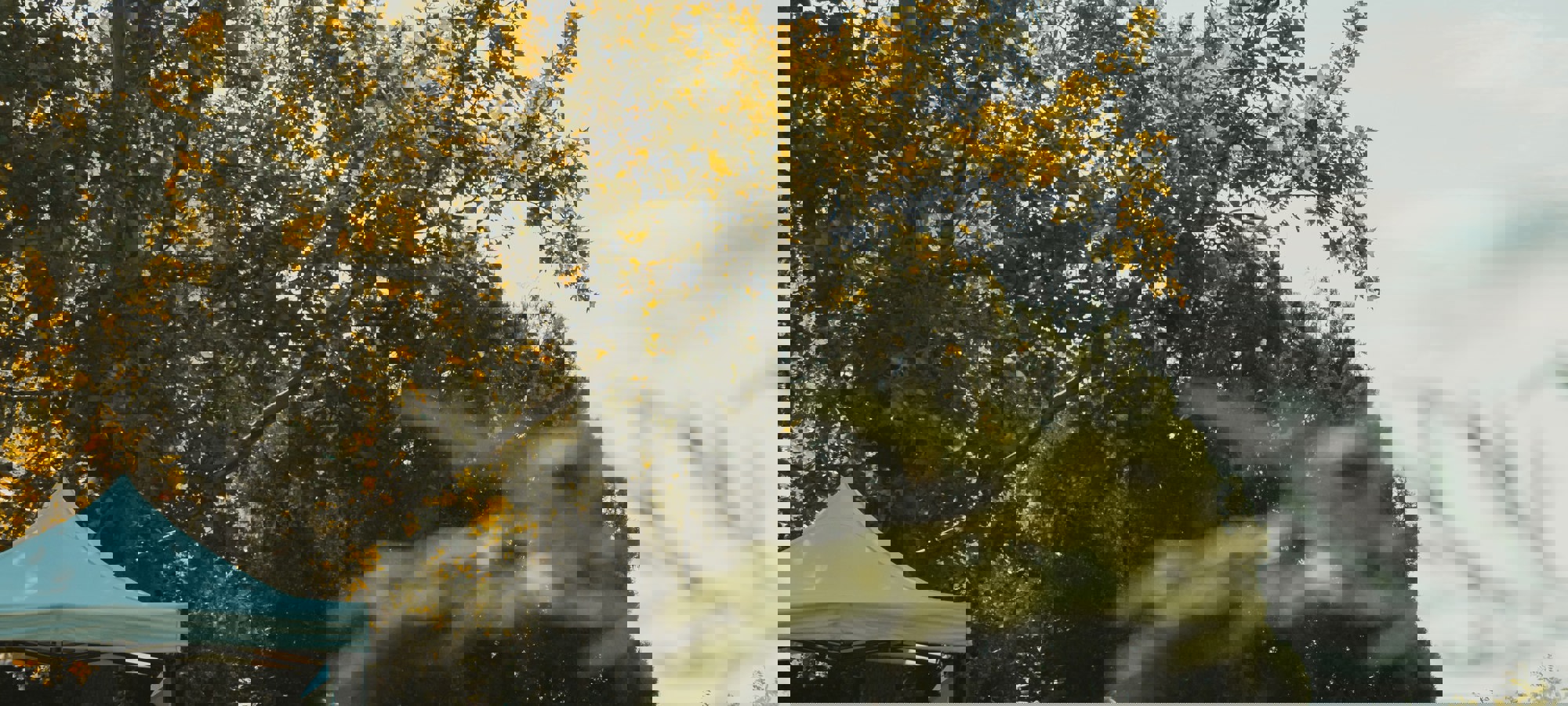 4f3afff3-b2f3-4acb-86a0-27551e23d017