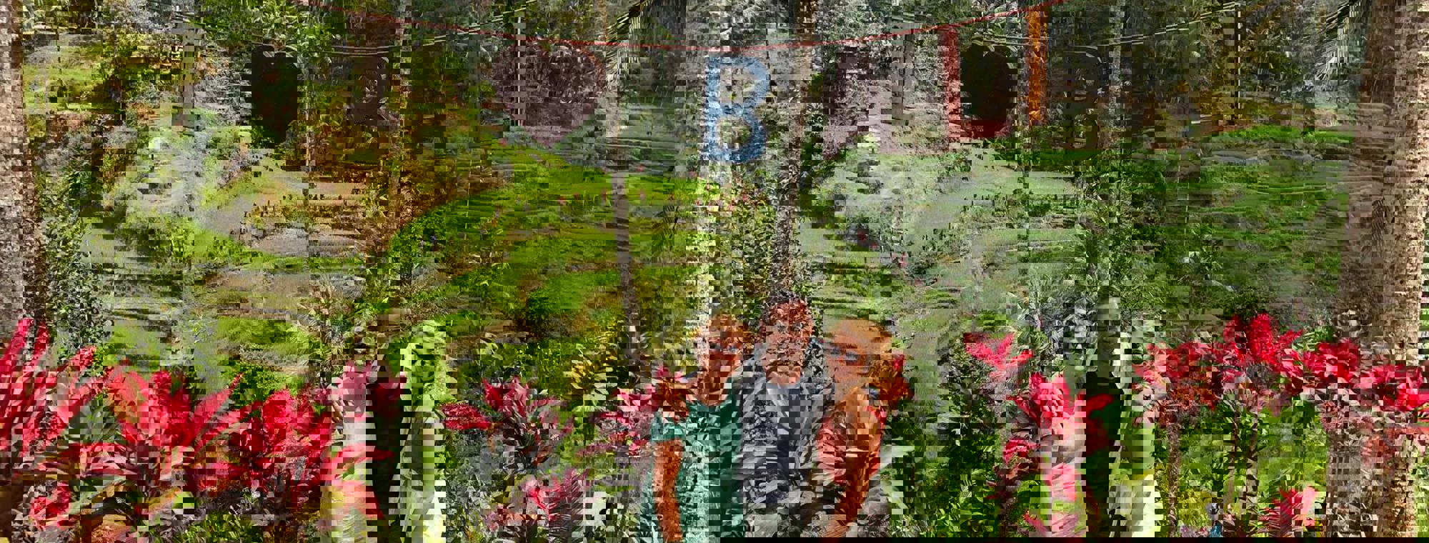 8b207209-2583-49a0-9879-824549b18e4a
