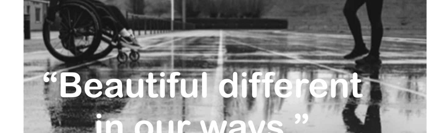 Visuele identiteit en illustraties