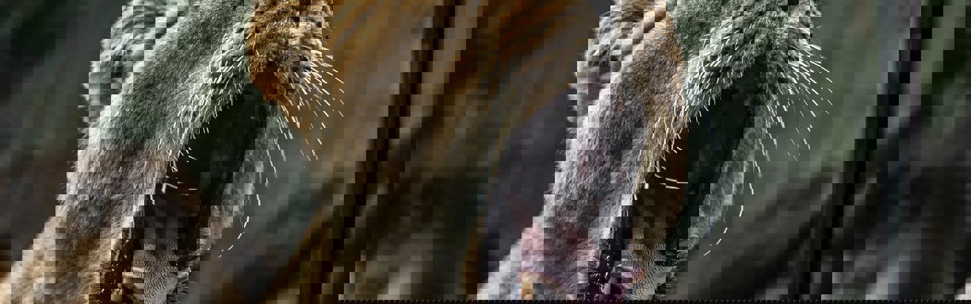 Strategisch advies over Marketing