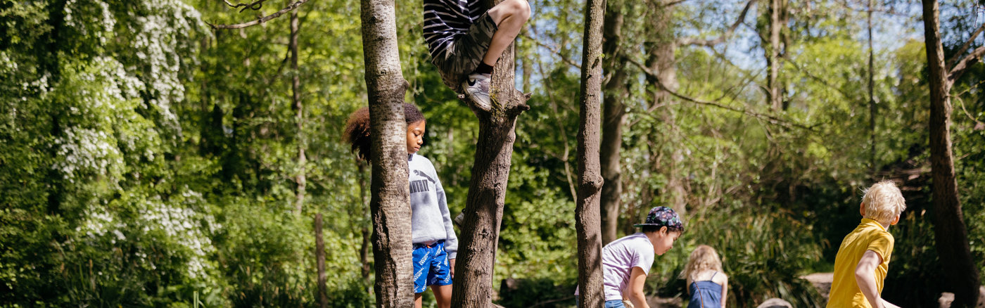 Strategisch Communicatie & PR advies