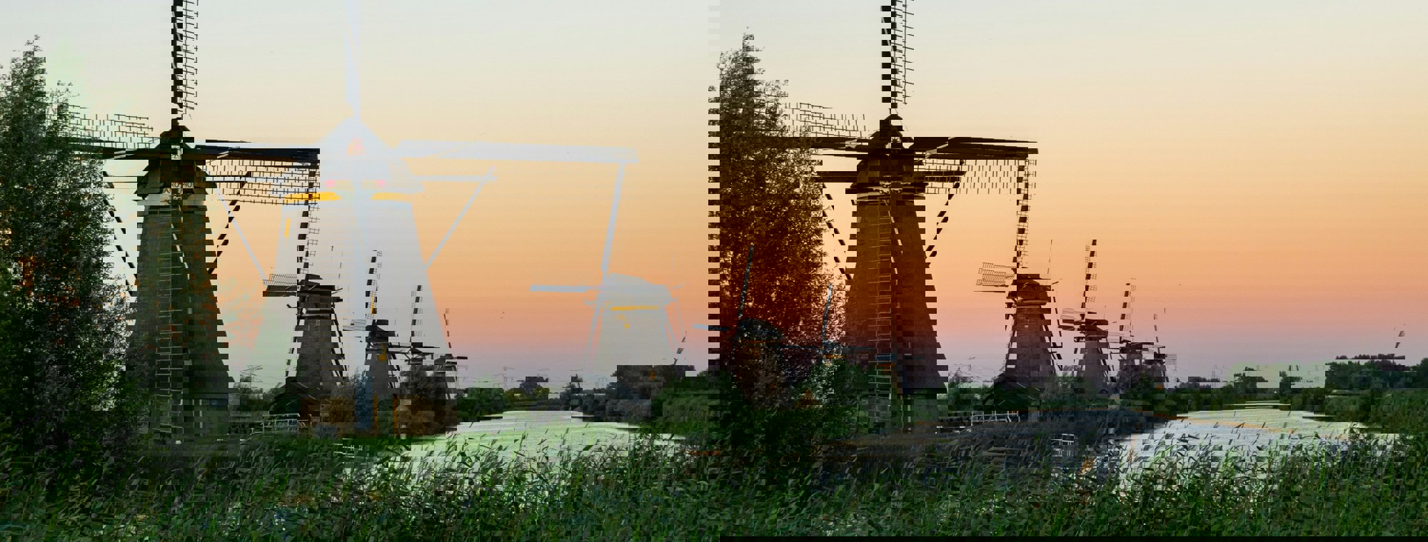 Thomas Bormans Knmlcjm3apa Unsplash