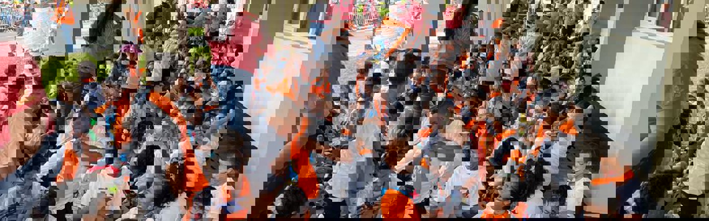 Strategisch advies over Business Model