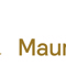 Mauritshuis