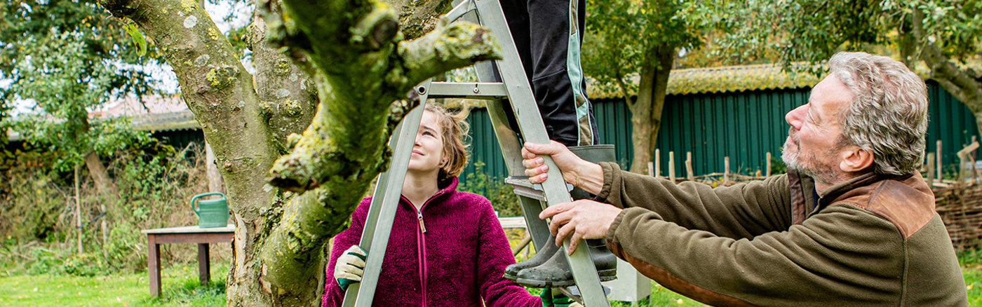 Social Media posts ontwerpen