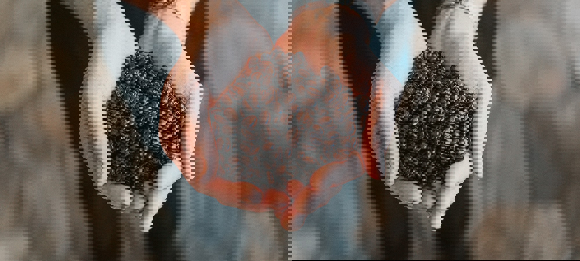Nathan Dumlao Qlkjp W4d7c Unsplash