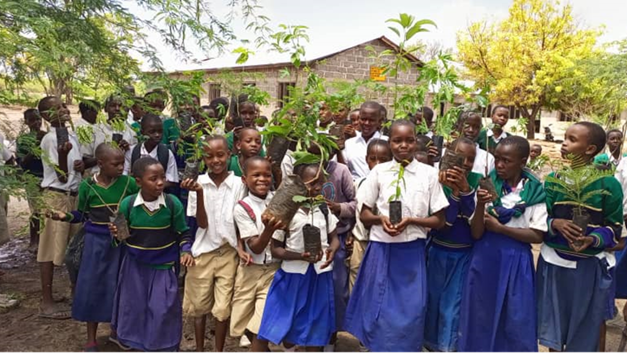 Greenmanjaro Foundation