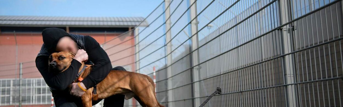 Sneltekenaar / Karikaturist