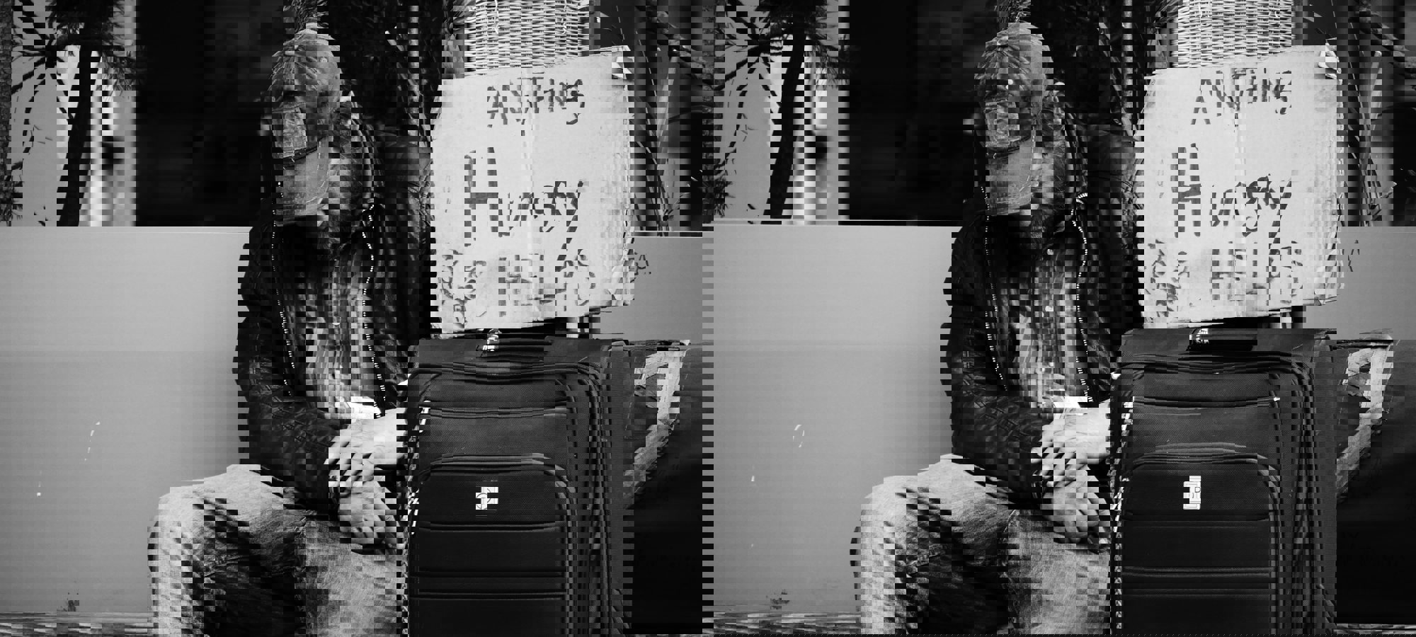 Steve Knutson Lq2bzdnmnhe Unsplash