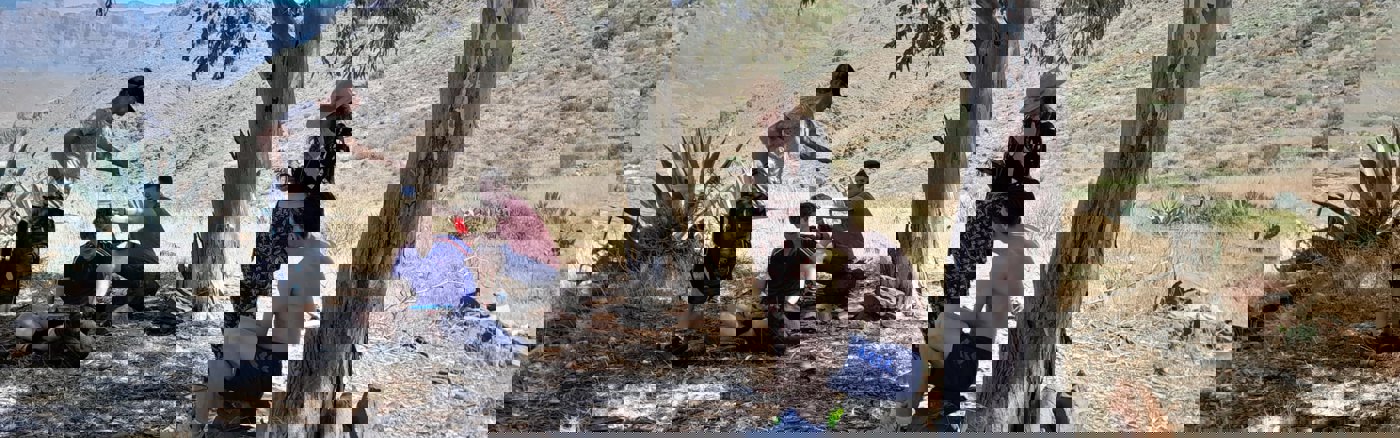 Interim vrijwilliger: SEO Specialist