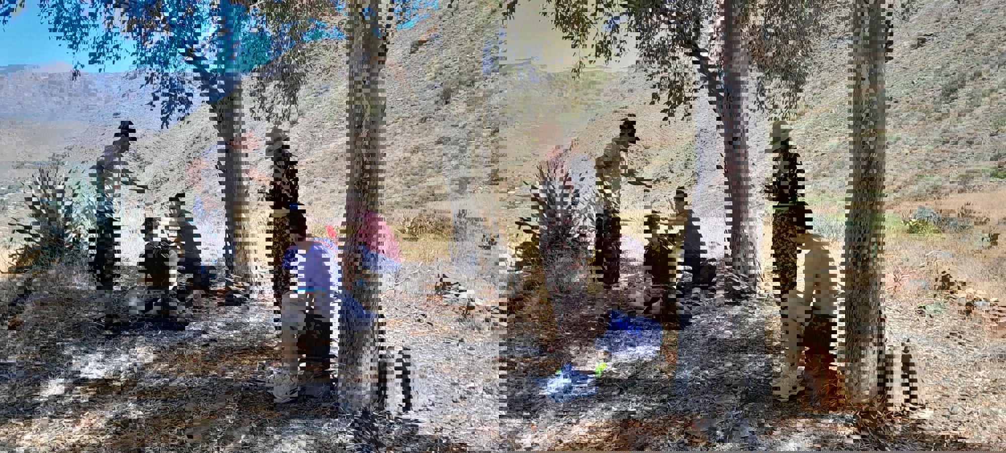 4a136780-51e2-4ba6-b1e8-31358b10aee0 (2)