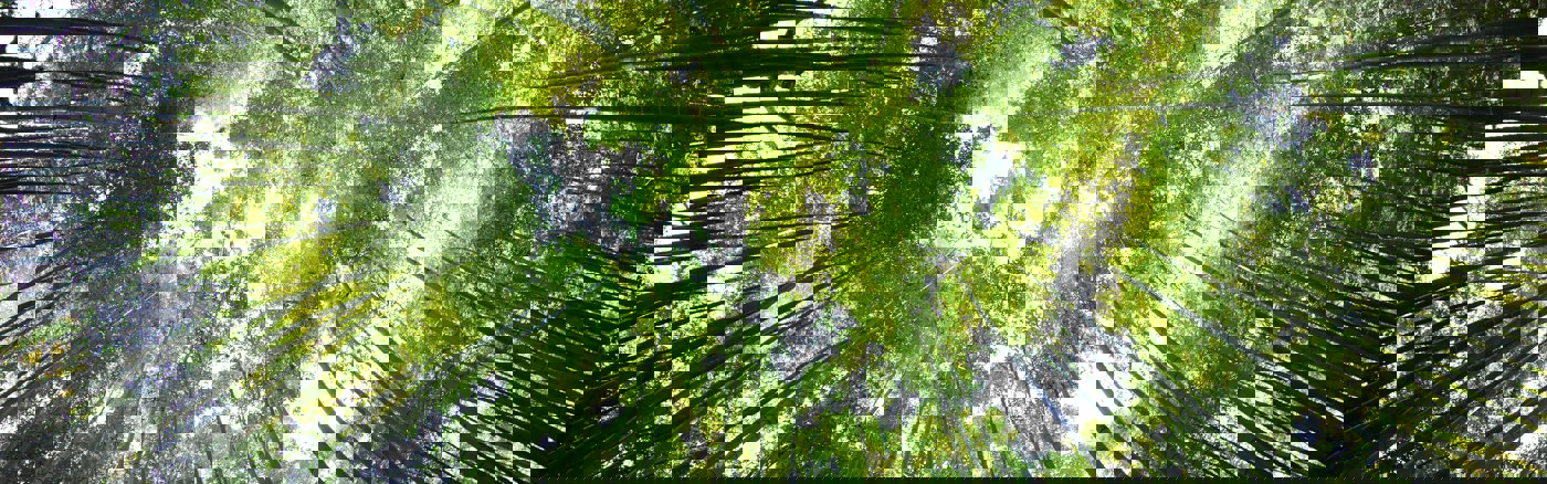 Social media Boester 