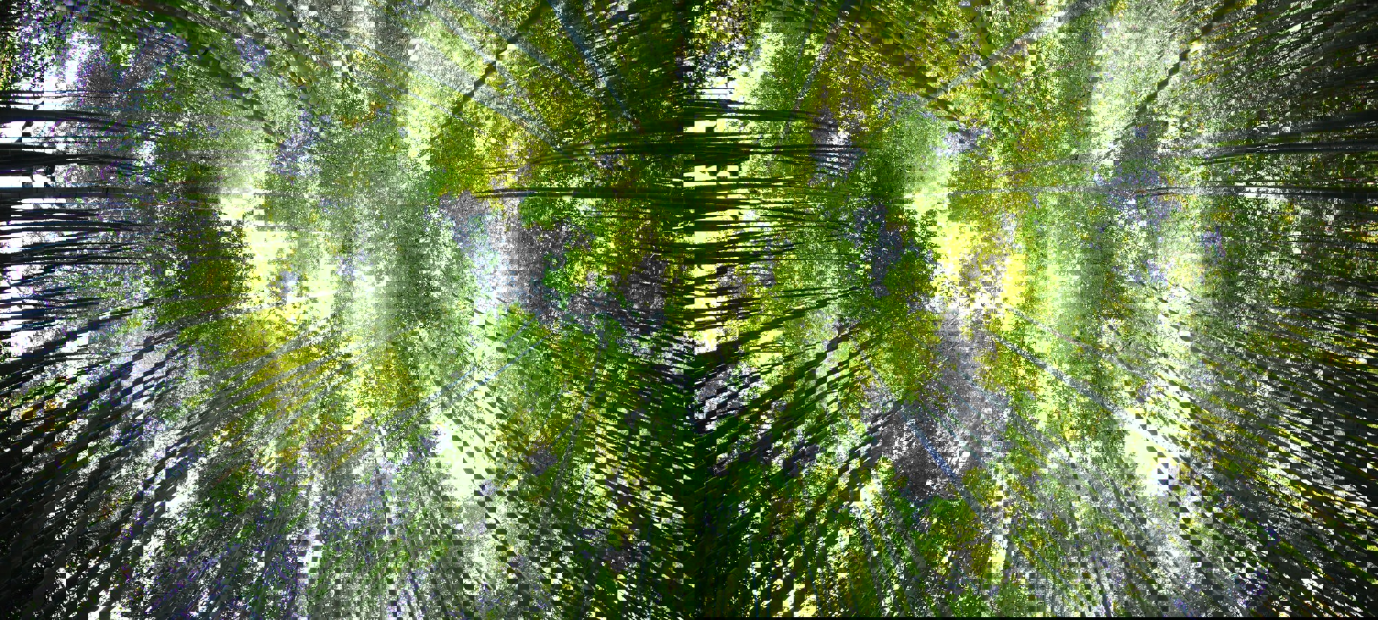6614e156-3c9c-4fc3-96fe-99f0c5eab6d2